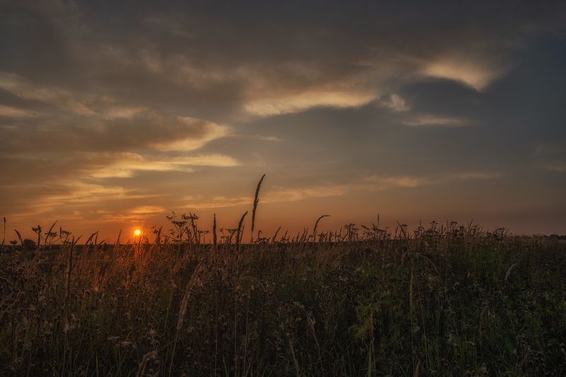 Вечер.Август.photo preview