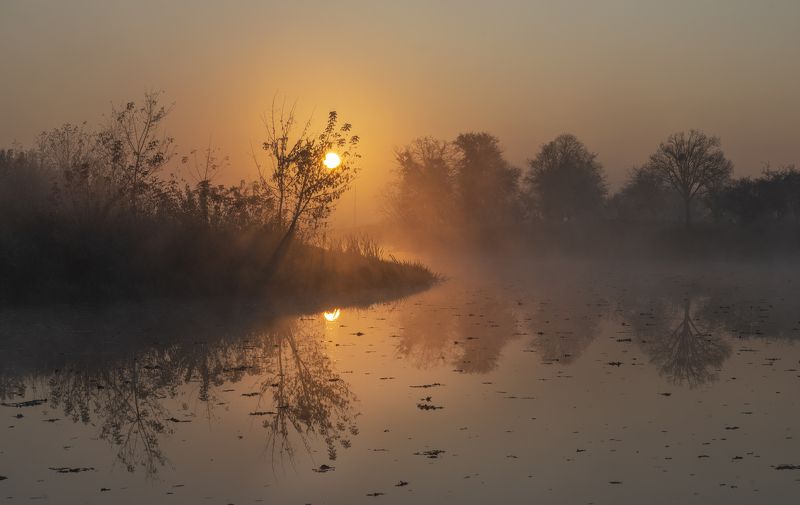 Горинь рассветная...photo preview