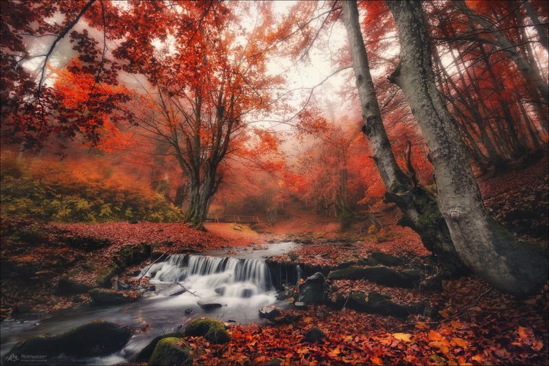 карпаты, закарпатье, водопад шипот, осень Прелести поздней осени ..photo preview