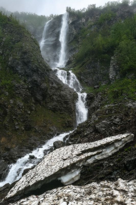 Поликаряphoto preview