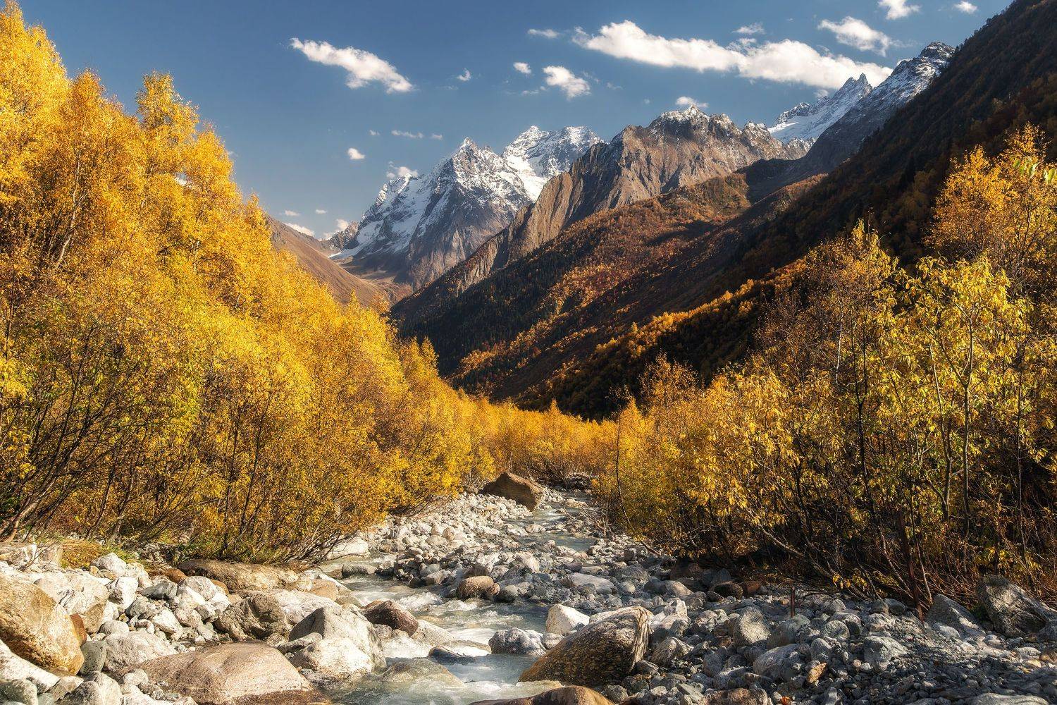 , Михаил Туркеев