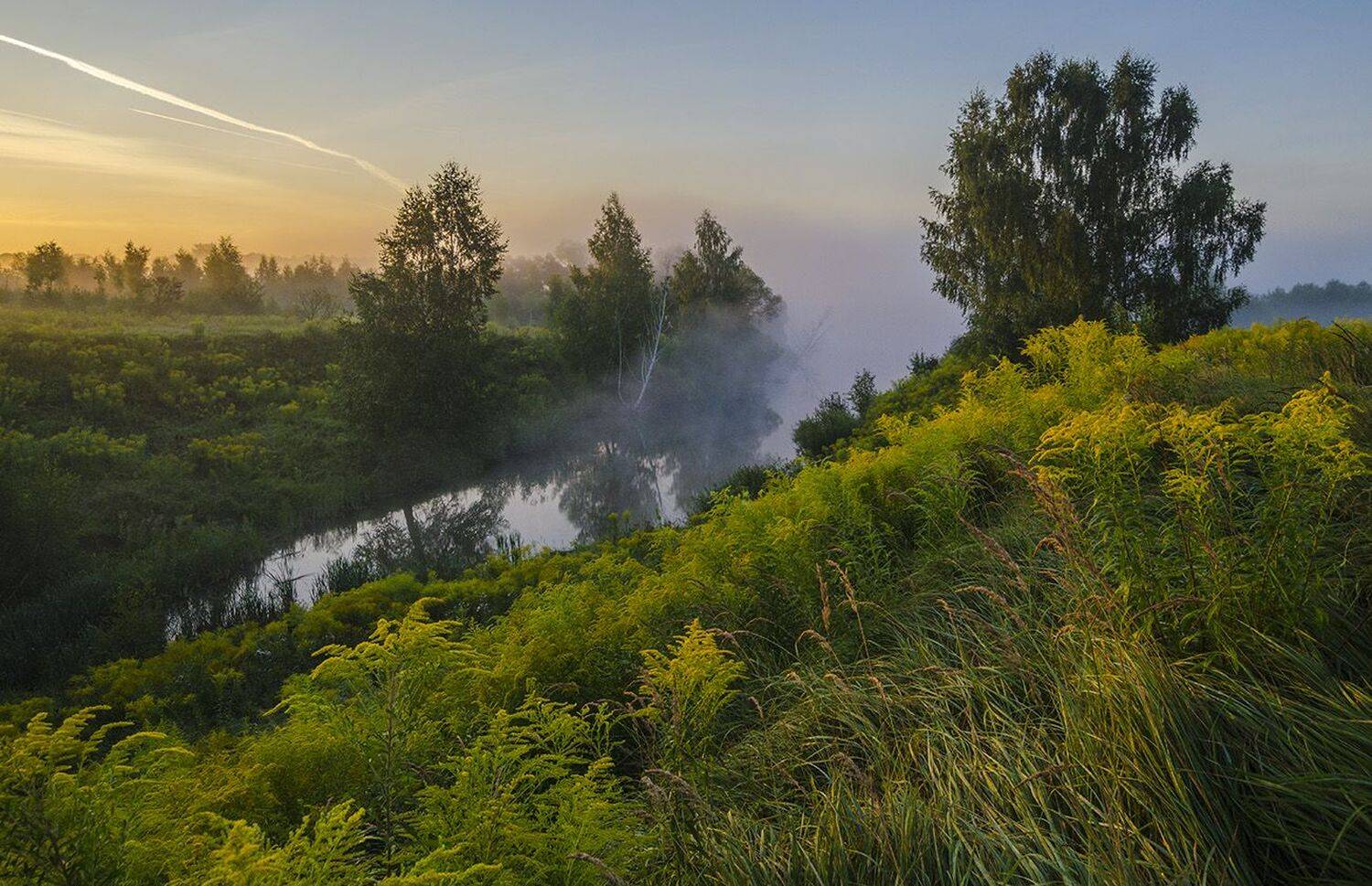 утро, лето, большие байдики, Михаил Агеев