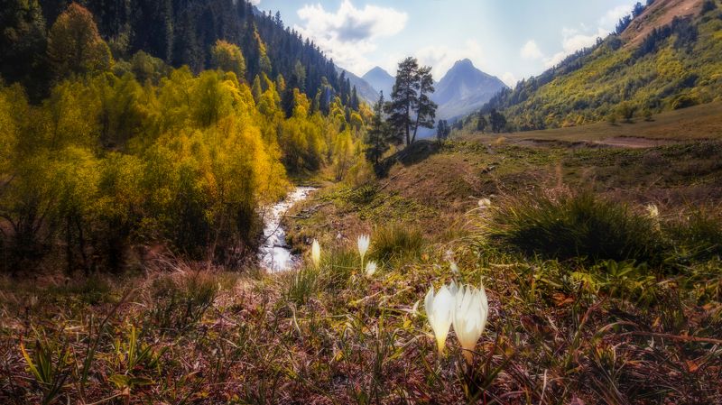 пейзаж, осень,горы,путешествия,  Скоро осеньphoto preview