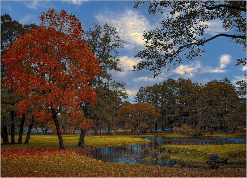 Осень в Риге.photo preview