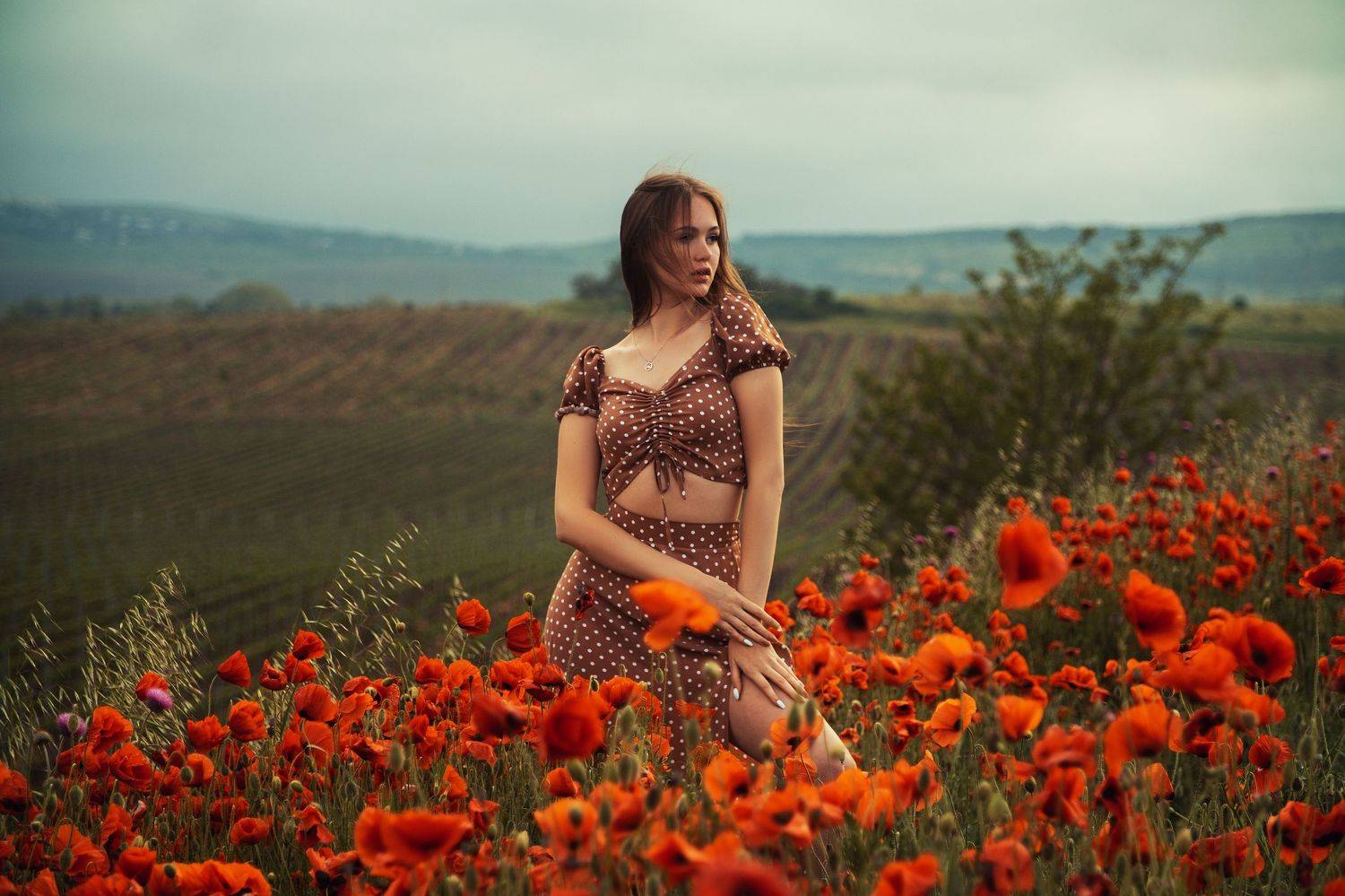 Автор: Коровин Кирилл , Коровин Кирилл