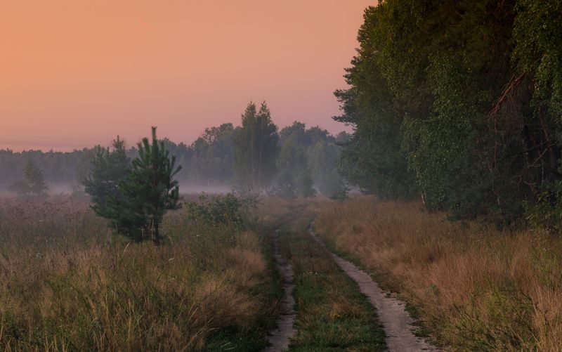 луг лето август рассвет туман И затаилась тьма пред ожиданьем светаphoto preview