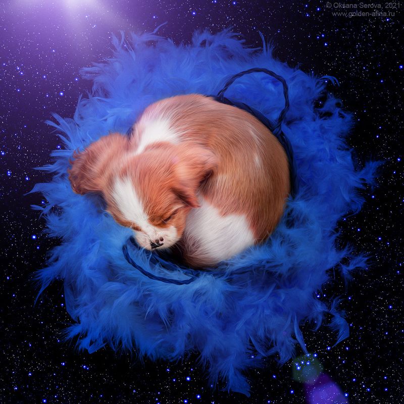 The Supernovaphoto preview