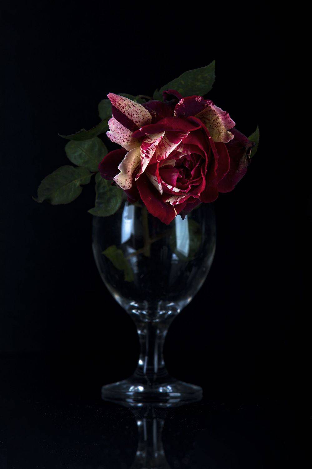 Натюрморт. Автор: Александр Игнатьев натюрморт, роза, бокал, студия, Александр Игнатьев