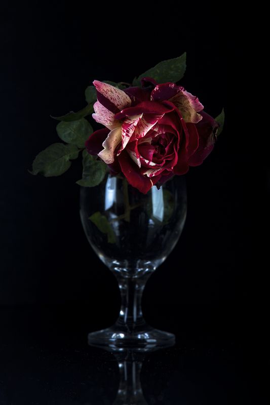 натюрморт, роза, бокал, студия Натюрмортphoto preview
