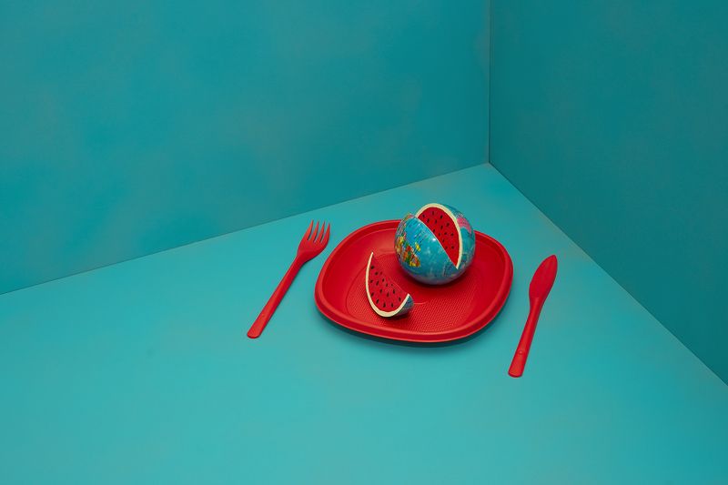 the mealphoto preview