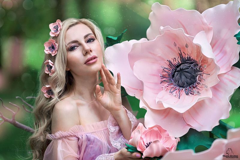 фото превью