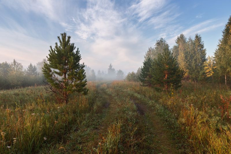 осень, сентябрь, лес, утро, туман, рассвет, дорога По дороге в осень. фото превью