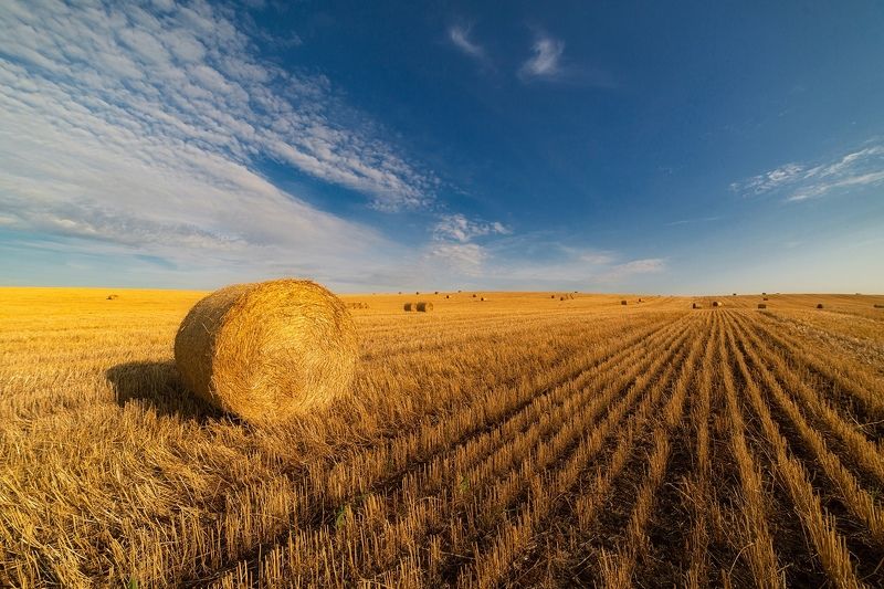 Теплееphoto preview