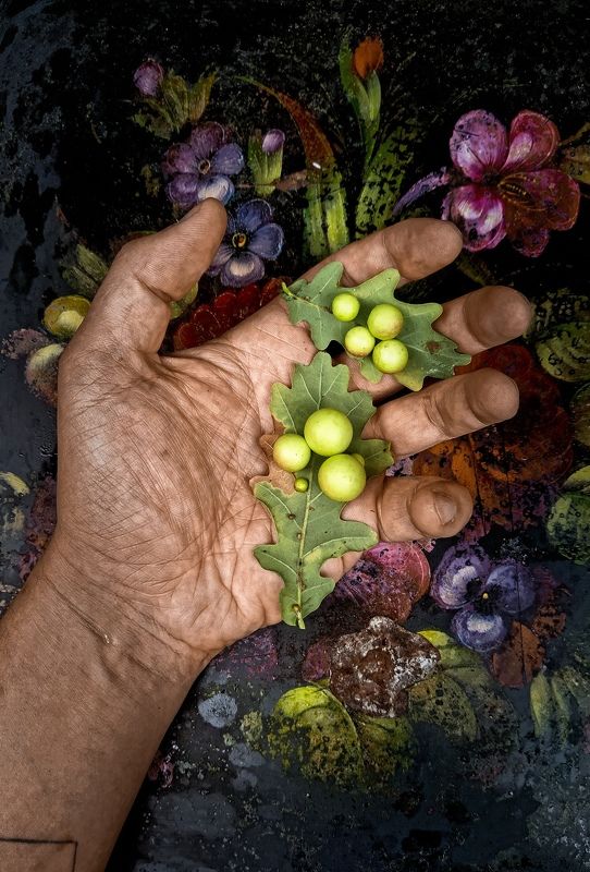 Жёлуди сфер... Артефакты леса...photo preview