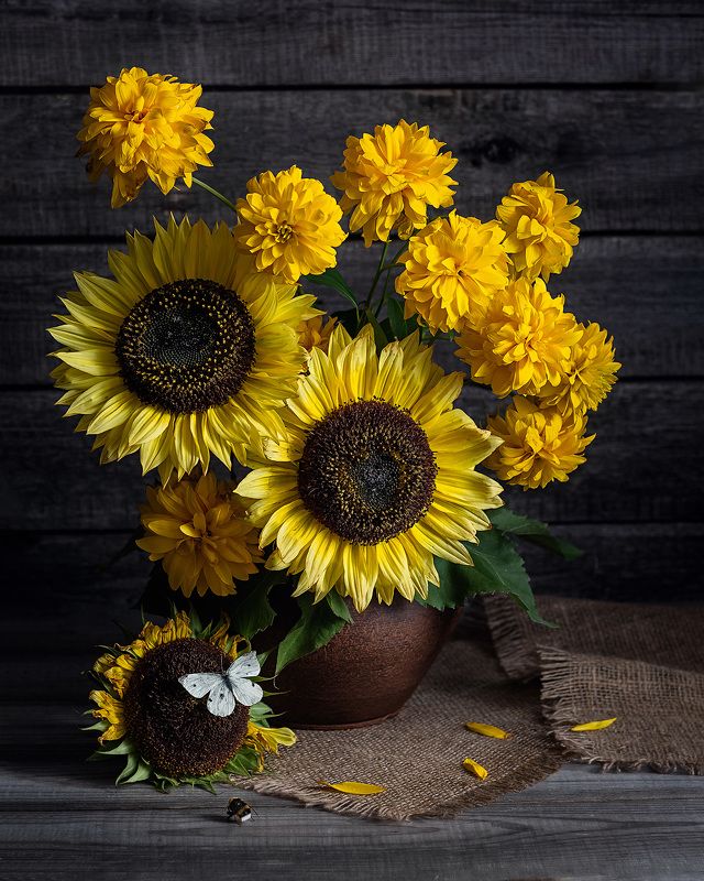 Цветы солнцаphoto preview