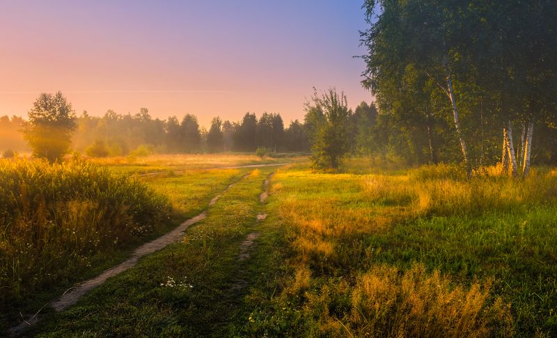 луг лето август рассвет туман О, предрассветный час, таинственная дымка!photo preview