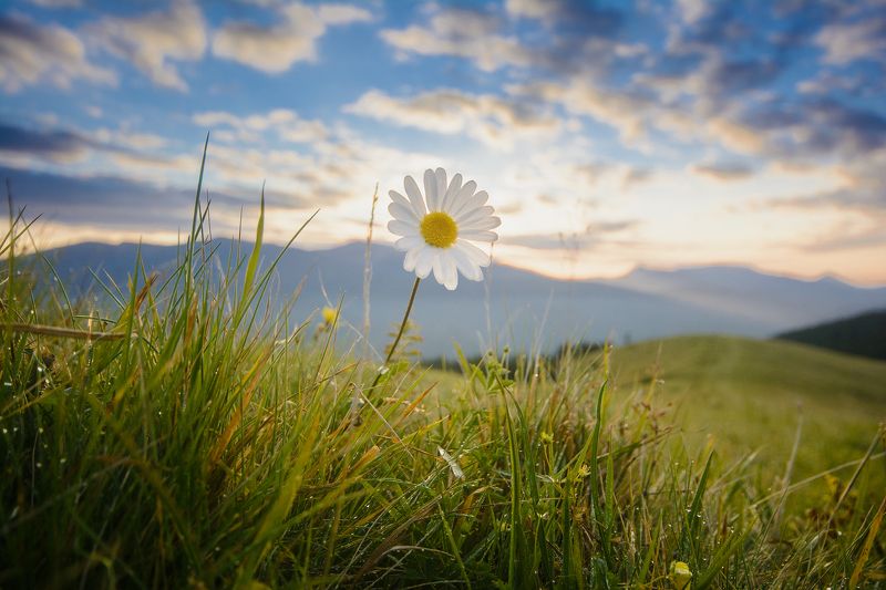 Карпаты, Украина, горы, пейзаж, рассвет, пррода, люди, жизнь, радость Свобода - всё что нужно для счастьяphoto preview