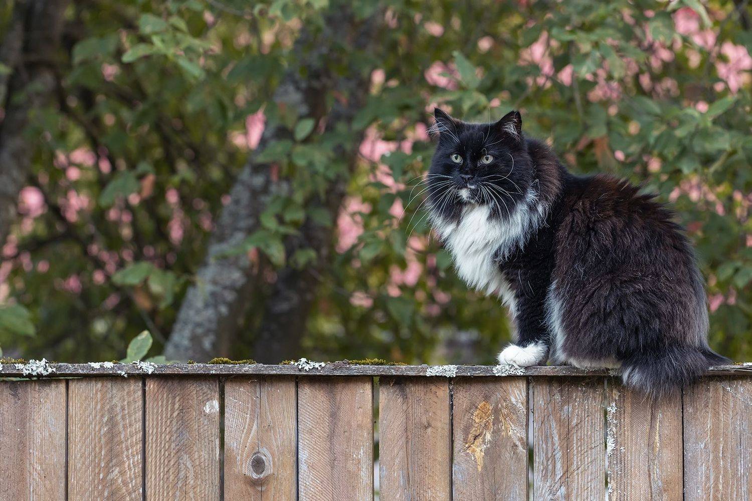 , Юрий Шурчков