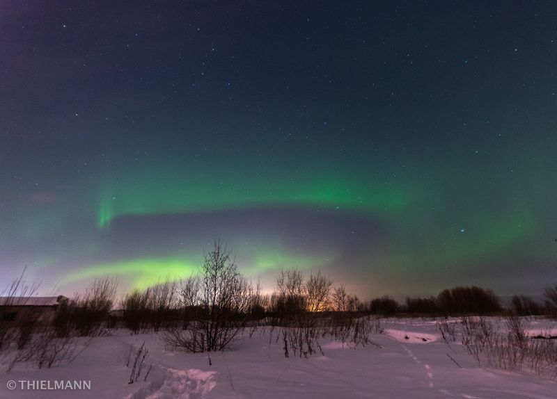 aurora, north, winter, frost, night, nightlights, sky, nightsky, light photo preview