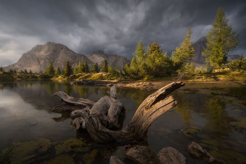 Dragon Pondphoto preview