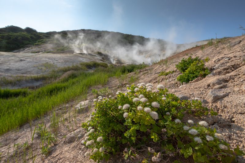 Долина гейзеров Камчаткаphoto preview