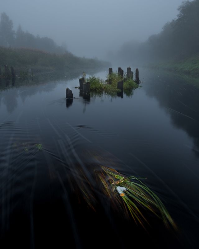 новгородская область, река, туман, утро, сентябрь, вишера Неси меня рекаphoto preview