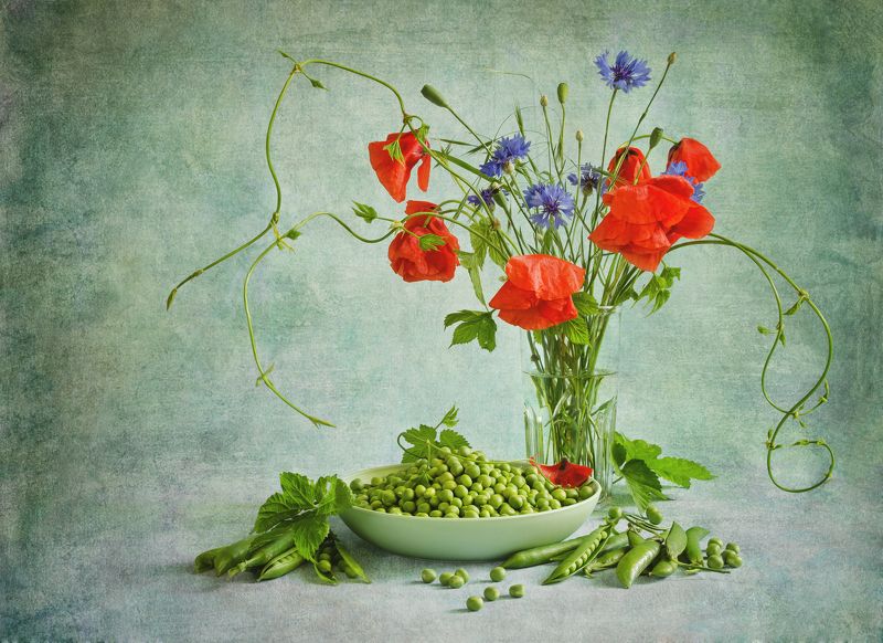 натюрморт, цветной, маки, цветы, лето Макиphoto preview