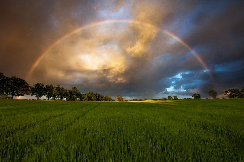 лето удрия 2020 Летоphoto preview