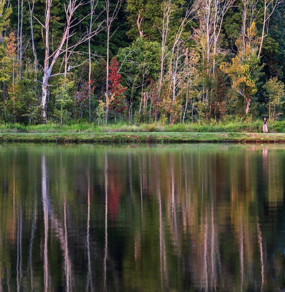 , Леонид Дьяченко