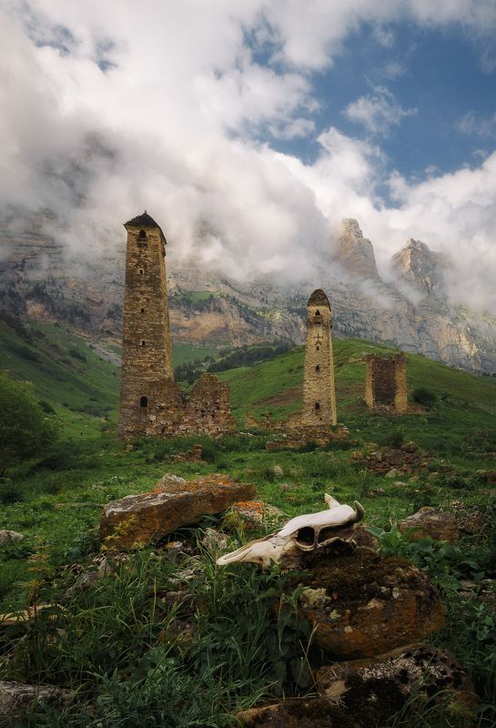 кавказ, ингушетия Башенный комплекс Нийphoto preview