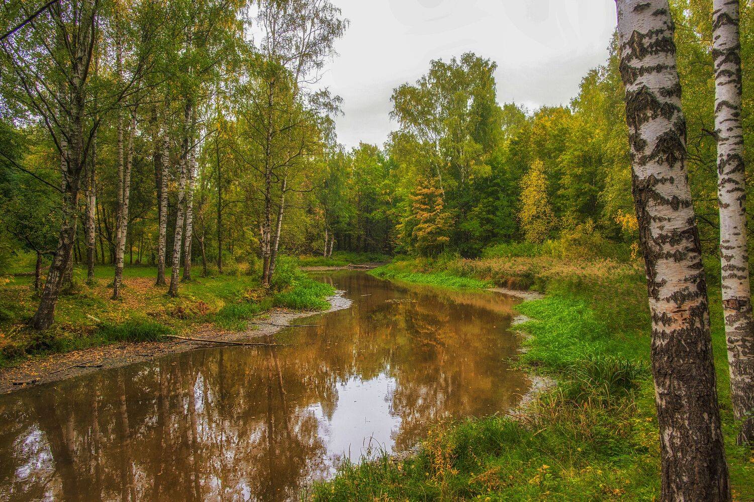 Дыхание осени.... Автор: Юрий Кулаков , Юрий Кулаков