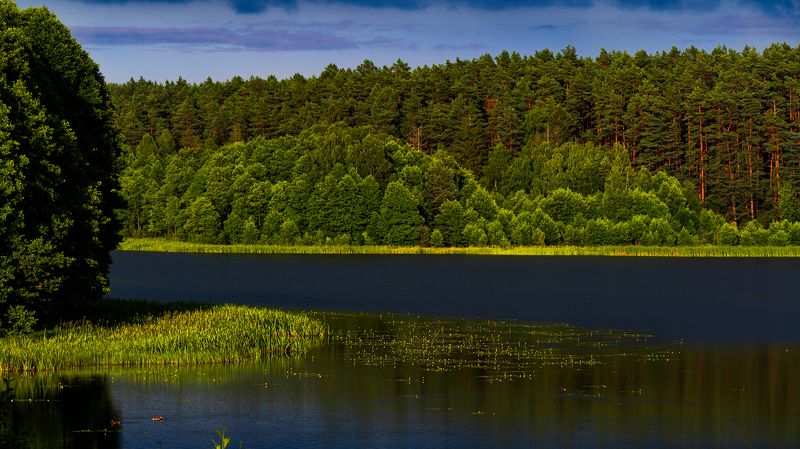 Przed burząphoto preview