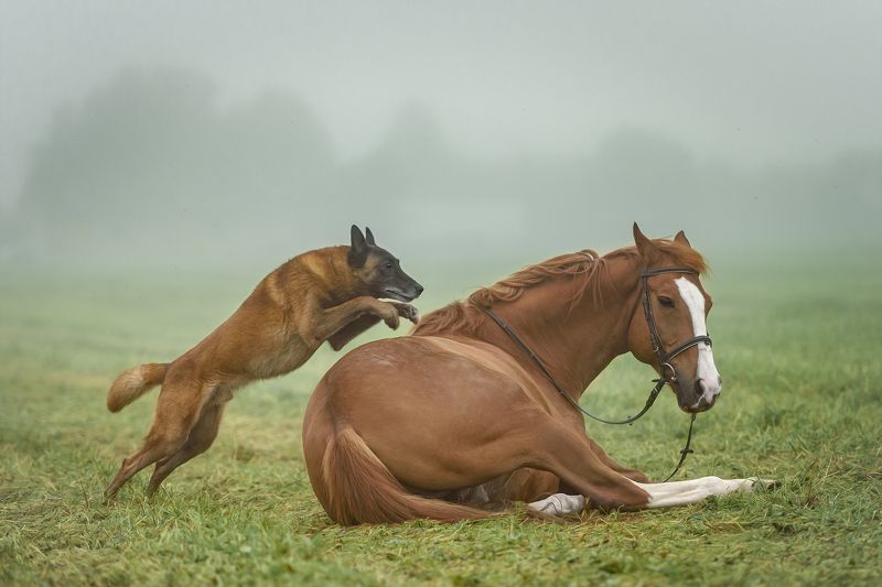 когда полное доверие...photo preview