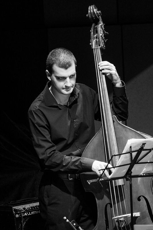 музыкант, контрабас ***photo preview