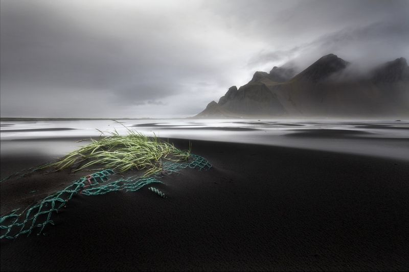 iceland, vestrahorn, beach, black, sand. water, sea, plants, black and white Vestrahornphoto preview