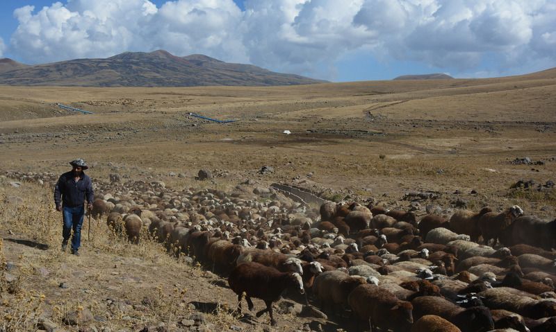армения, armenia, аждаак Среди Гегамских горphoto preview