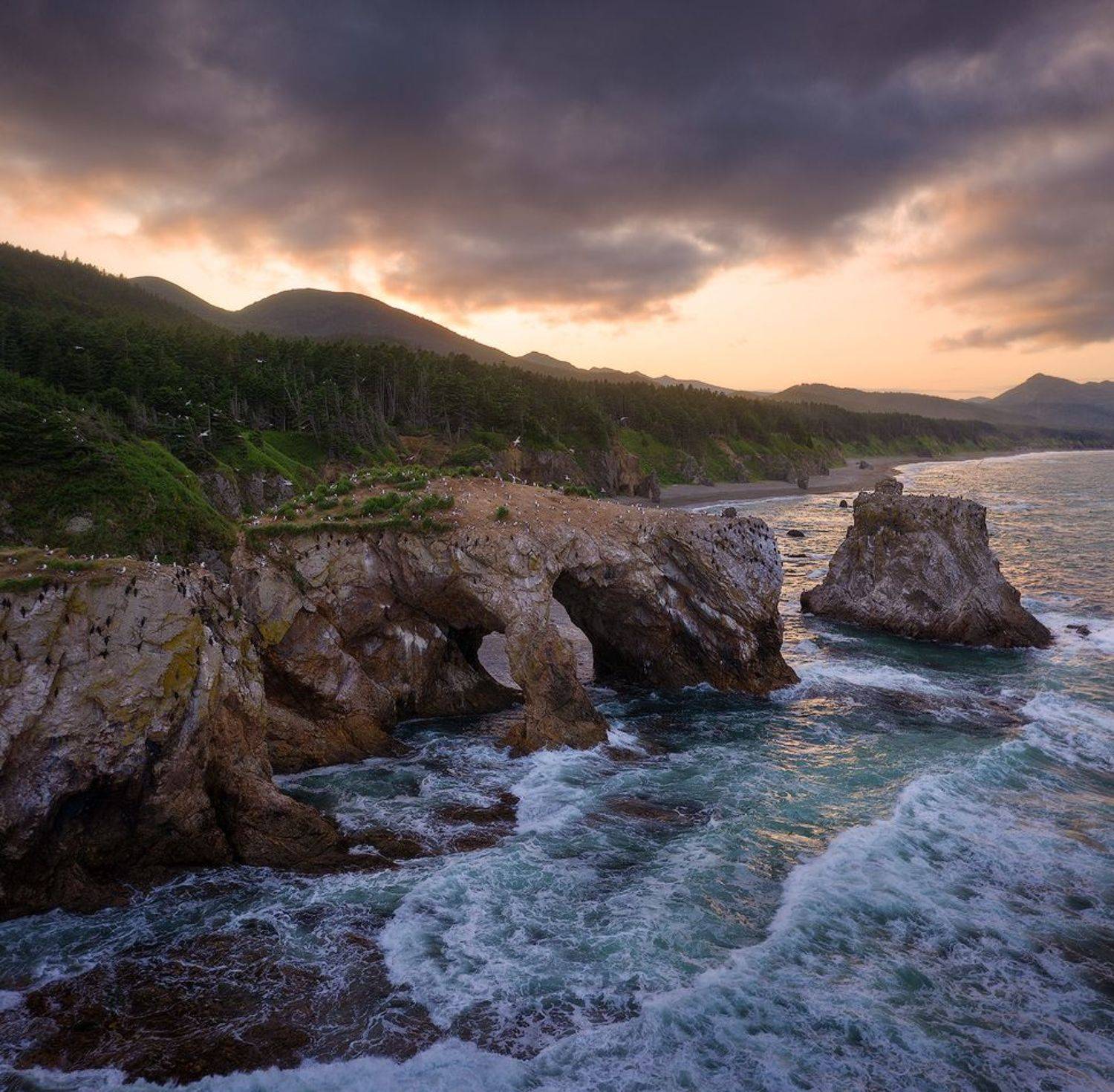 сахалин, мыс птичий, мыс великан, Alex Yurko