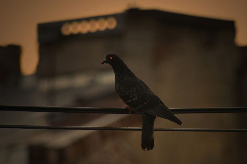 #deep.spb, #deepspb, #санктпетербург, #петербург, #спб, #питер, #saintpetersburg, #petersburg, #spb, #piter, #город, #city, #street, #streetphoto, #streetphotography, #cityscape, #urbex, #urbexphoto, #urbanexploration, #streetphotography, #architecture, # deep.spb*****@photo preview