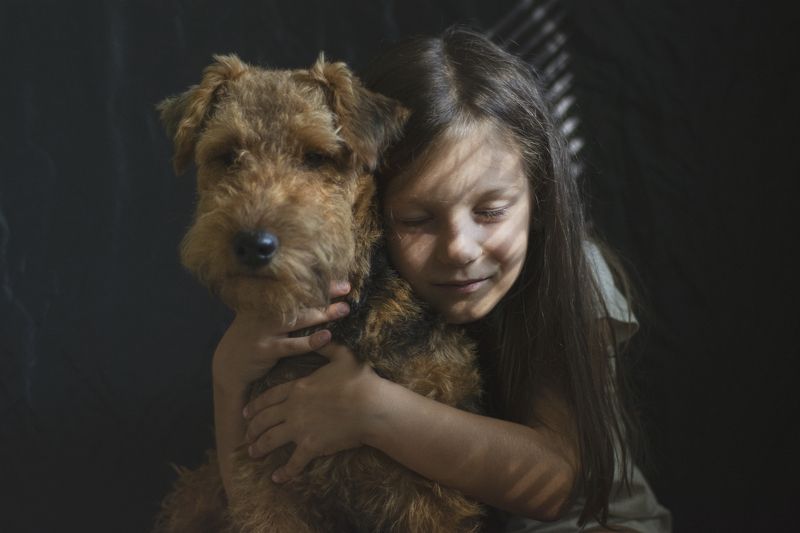 портрет, люди, ребенок, животное, собака, природа, жанр * * *photo preview