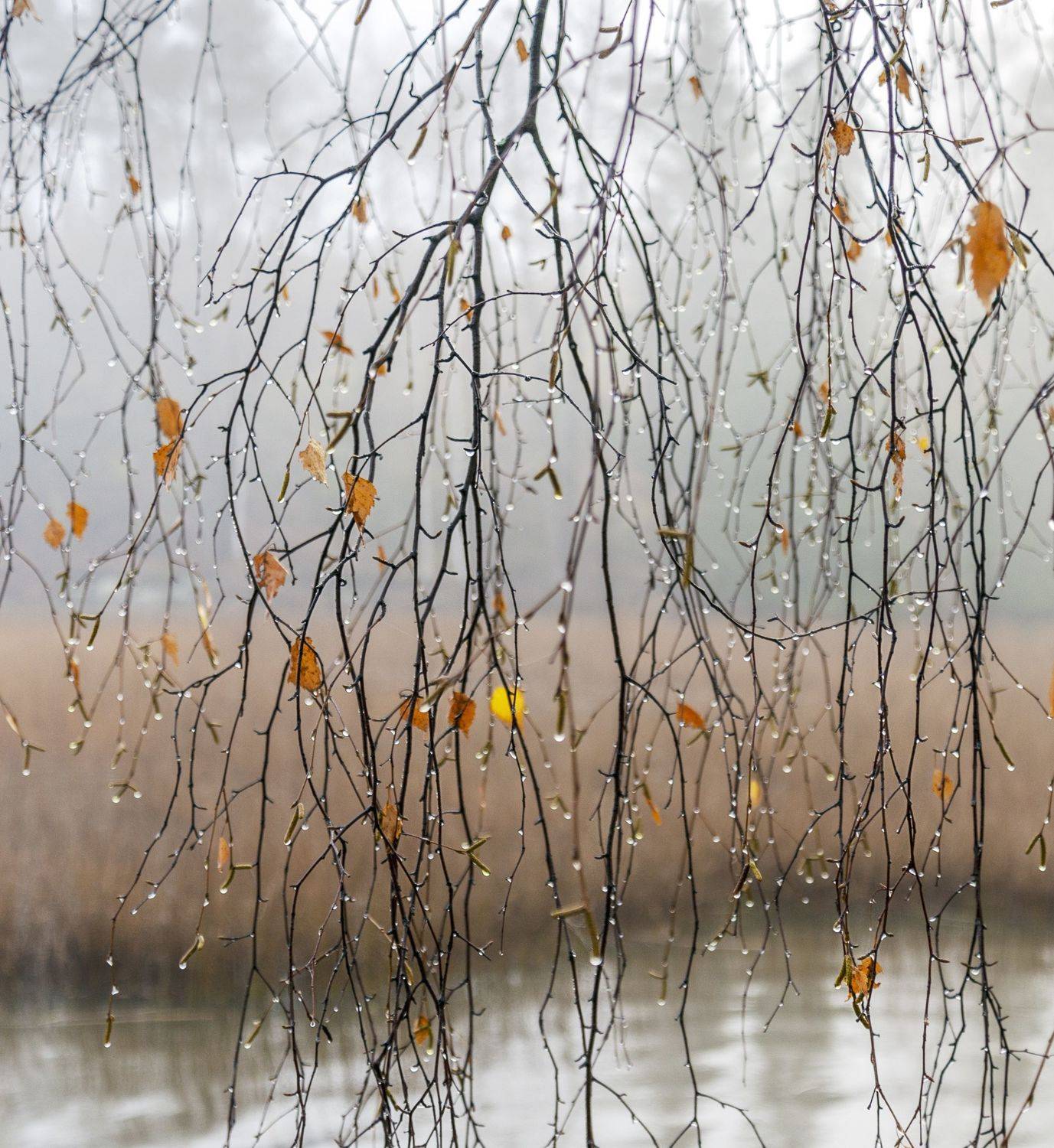 , Эдуард Гордеев