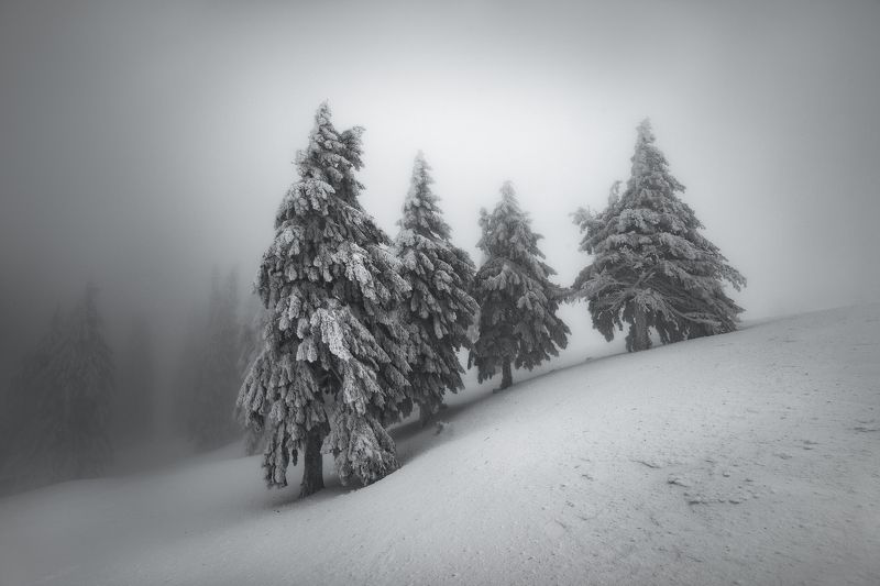 Guardiansphoto preview