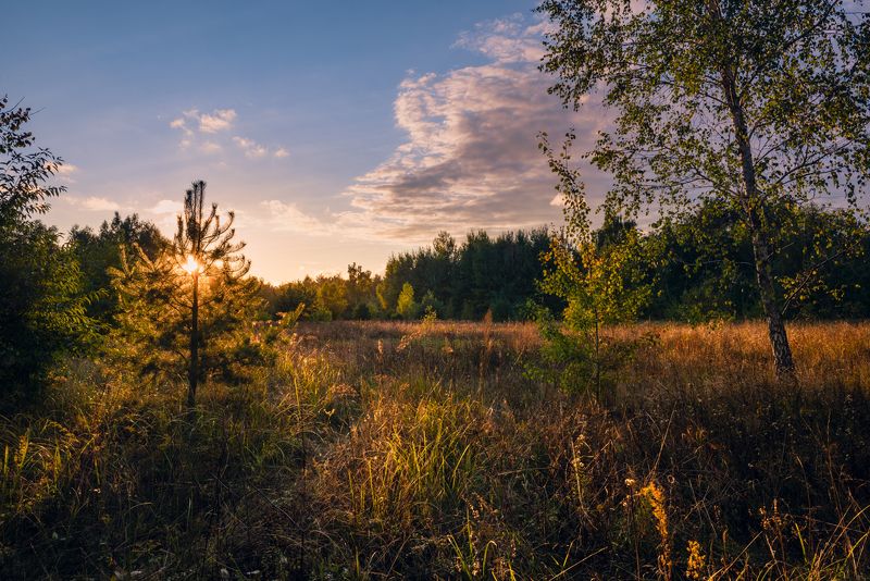 луг, осень, сентябрь, вечер, закат Последний луч заката солнца окрасит всё в багровый цветphoto preview