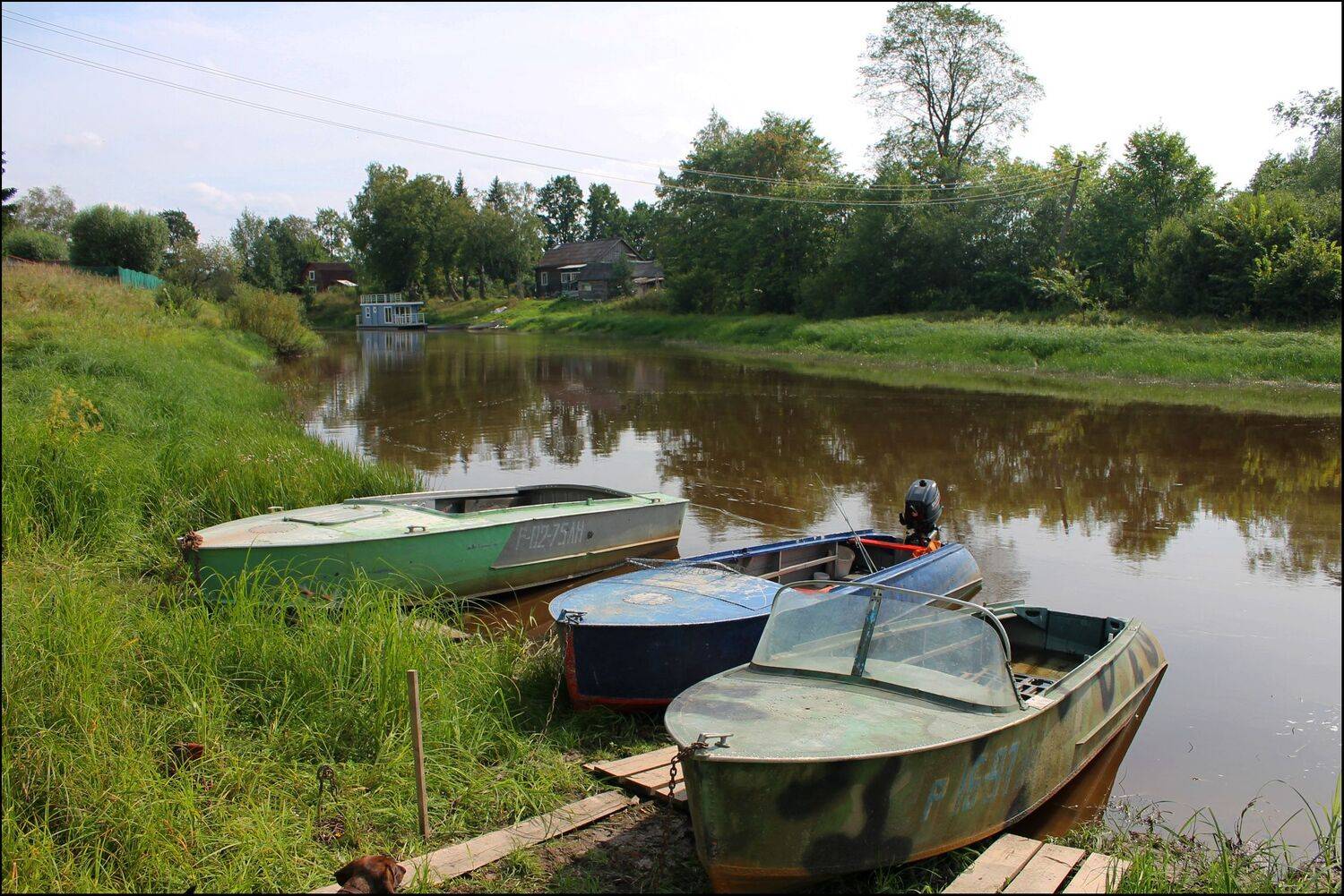 , Георгий Сапожников