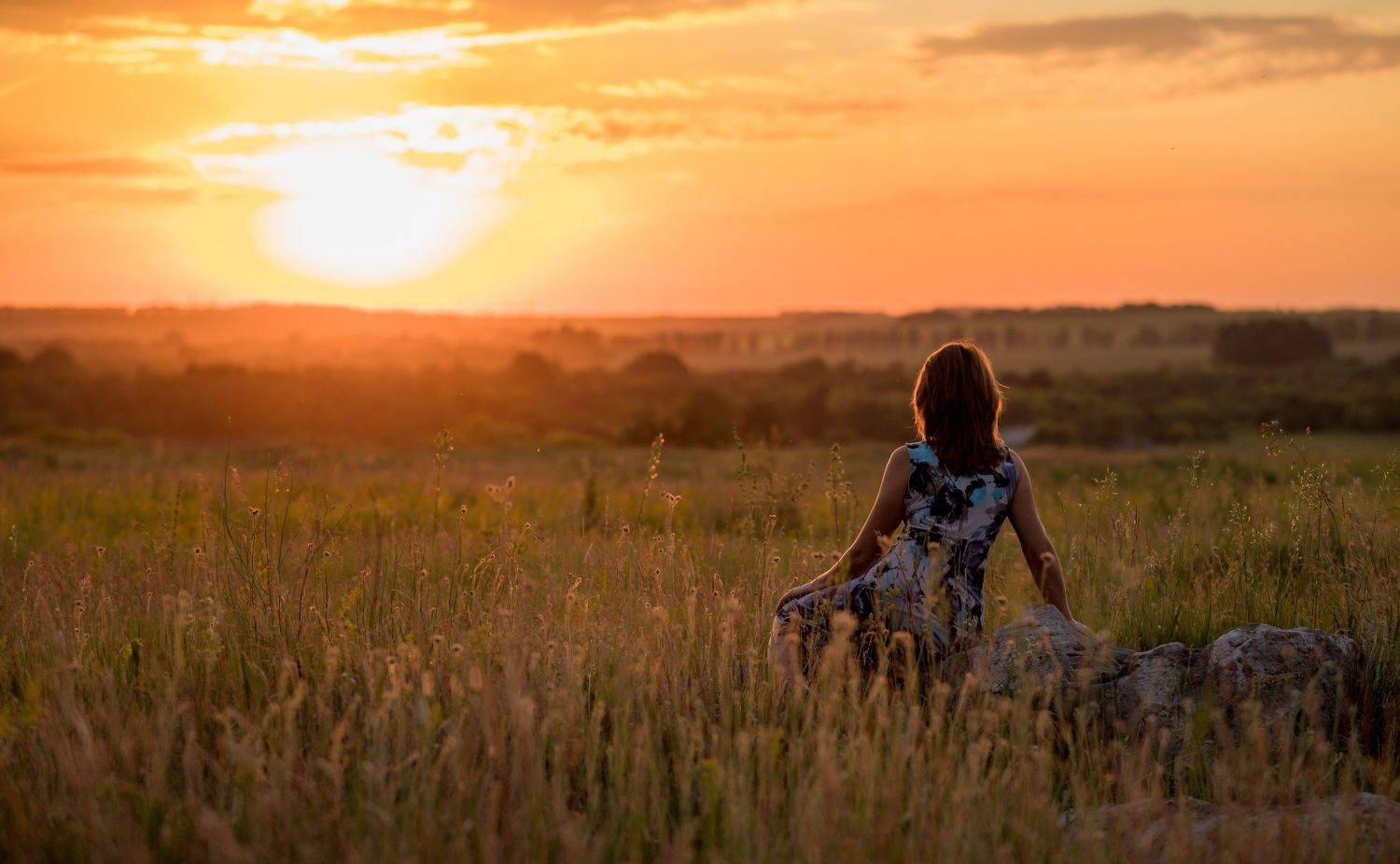 Say goodbye to summer. Автор: Алексей Юденков пейзаж, лето, июнь, степь, закат, Алексей Юденков