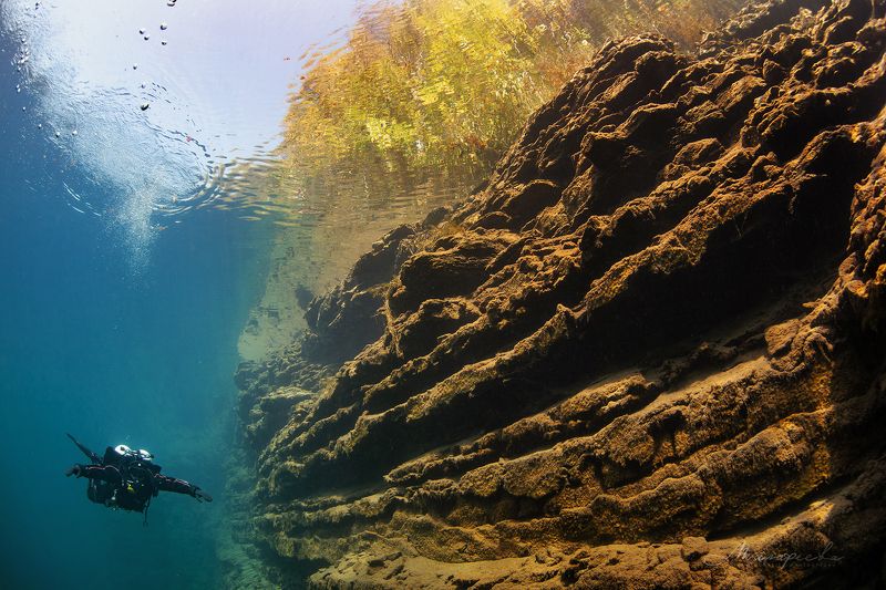 подводное фото, налим, вода, дайвер, источник photo preview