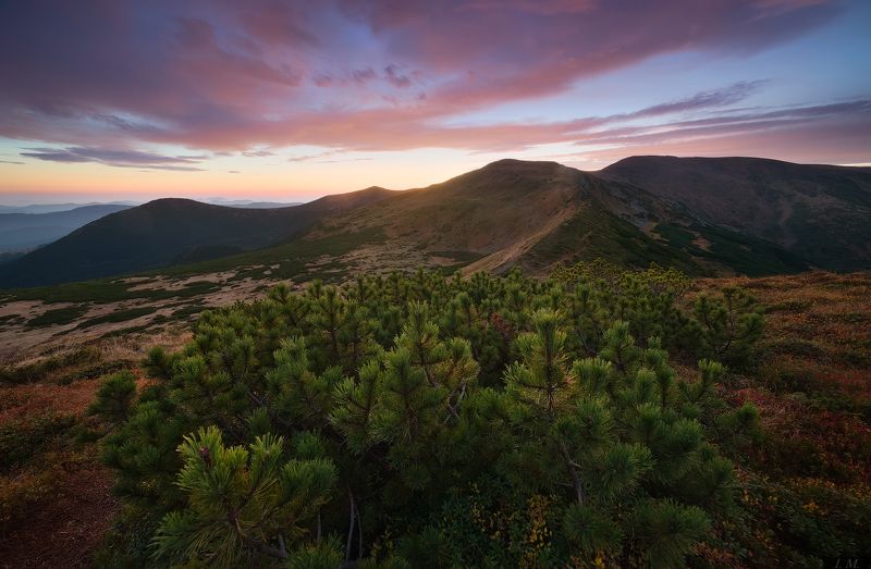 горы, карпаты, черногора, хребет, туркул, осень, пейзаж, утро, свет, туман, панорама, mountains, carpathians, chornogora, turkul, mountain, autumn, morning, colors, panorama, light Turkul. Autumn. Morning.photo preview