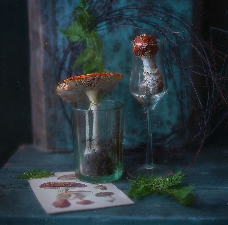 коктейль из благородных грибов*photo preview