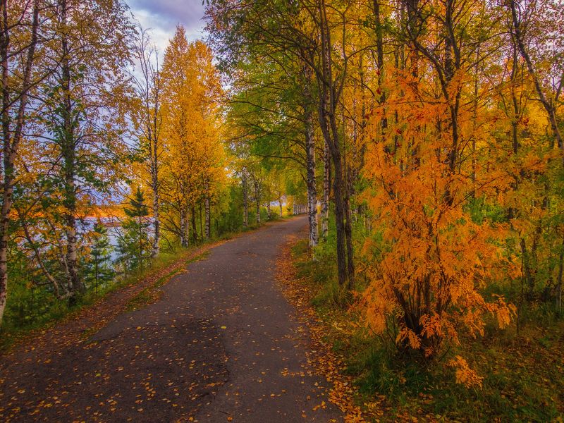 печора, коми, осень Осенняя Печораphoto preview