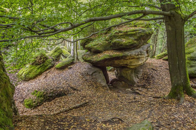 Im Labyrinth bei Langenhennersdorf.photo preview
