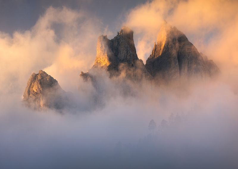 Shine on mephoto preview